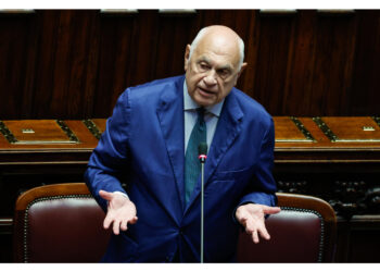 'Dato mandato di acquisre la relazione'