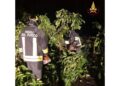 Disagi per alberi caduti dal Parmense al Bolognese
