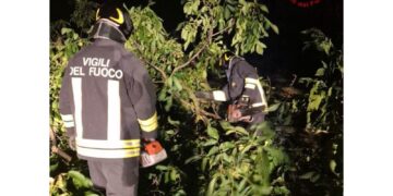 Disagi per alberi caduti dal Parmense al Bolognese