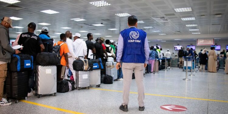 Oltre 3.700 dall'inizio dell'anno a partire dalla Tunisia