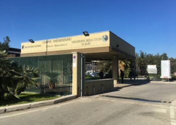 L'ateneo è quarto in Italia