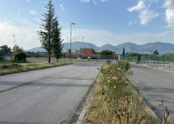 Danni ingenti alla struttura. Vicenda ad attenzione magistratura