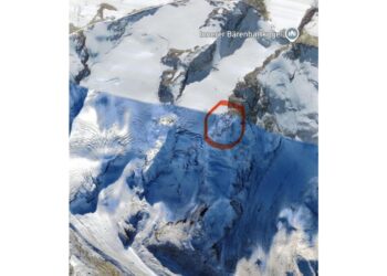 Senza soccorso tempestivo non sarebbe sopravvissuto