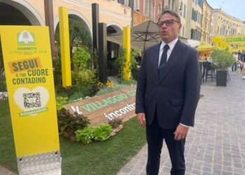Consulta si è espressa