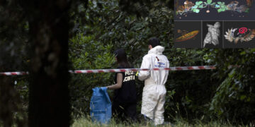 Svolta nel caso della madre e della figlia trovate morte a Roma