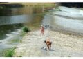 Domani e 25 giugno nuova impennata temperature