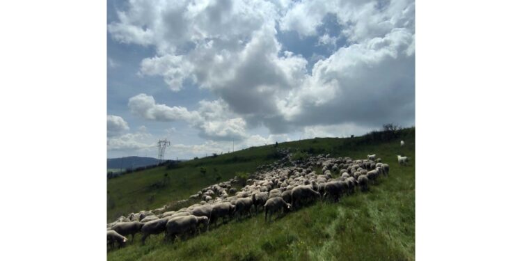 Attività tramandata da generazioni
