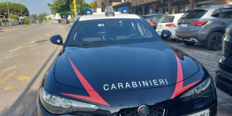 Ha precedenti per droga