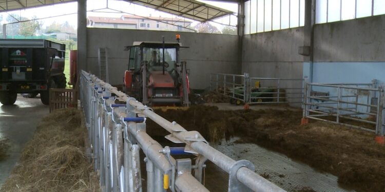 agricoltura