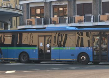 bus
