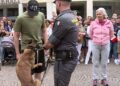guardia di finanza