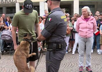 guardia di finanza