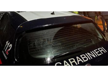 Nel Pesarese. Carabinieri fermano un 70enne