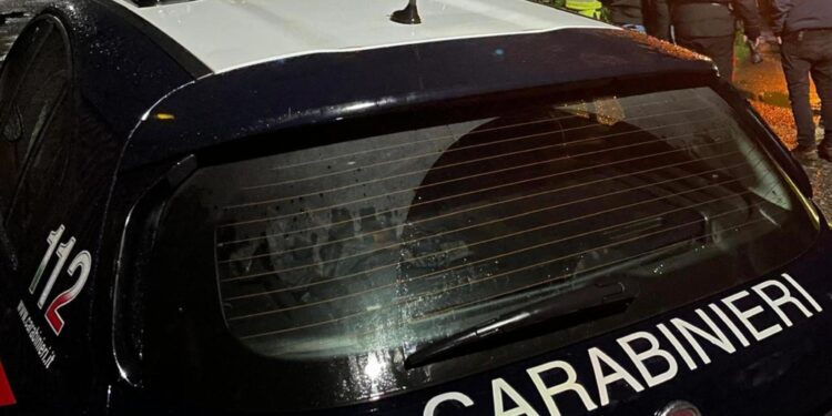 Nel Pesarese. Carabinieri fermano un 70enne