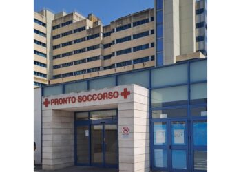 Due operai stavano lavorando in un terreno a Nurallao