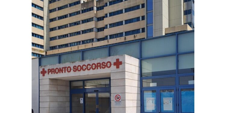 Due operai stavano lavorando in un terreno a Nurallao