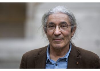 'Per aver minato l'unità nazionale'
