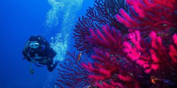 All'Asinara 14 ondate calore in un anno