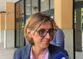 Fonti governo