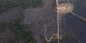 Studio: 'Oltre 25mila km quadrati colpiti da incendi e siccità'