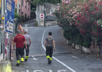 A ricerce partecipano carabinieri