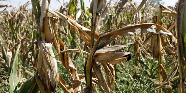 Era scomparso dal 26 giugno