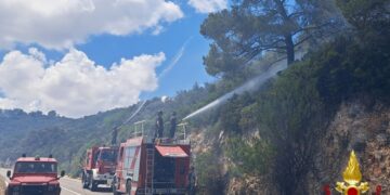 Chiusa la provinciale 113 vicino a Monopoli