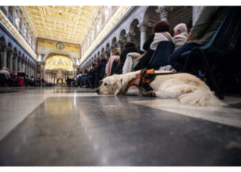 Accordo con Bauadvisor