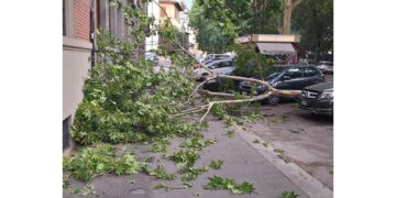 Decine chiamate a vigili fuoco per alberi e rami pericolanti
