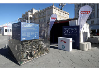 Chiederò e se non mi convince non avremo più collaborazioni