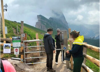 'Nessuna chiamata o diffida dalla Provincia