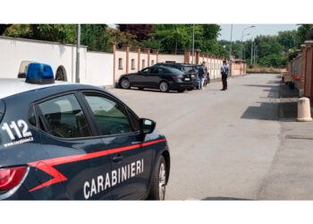 Chiarire se è frutto di contaminazione o è un nuovo soggetto