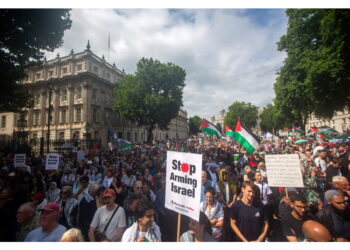 Palestine Action è classificato come organizzazione terroristica