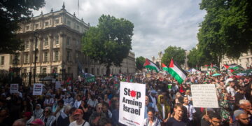 Palestine Action è classificato come organizzazione terroristica