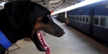 Trenitalia