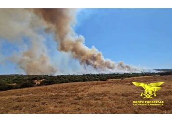 Ampio fronte di fuoco