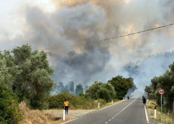 Incendio invade ferrovia a Serramanna
