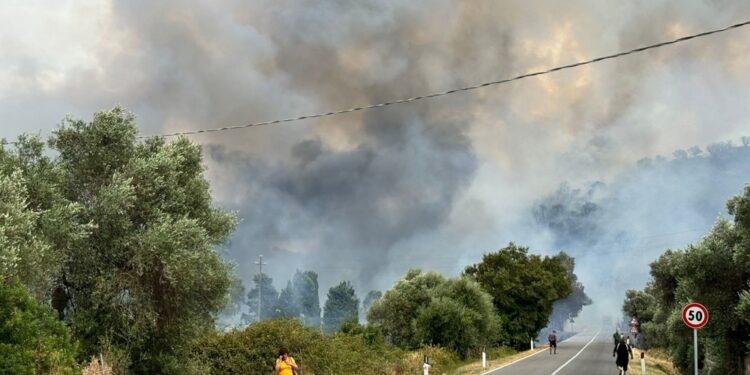 Incendio invade ferrovia a Serramanna