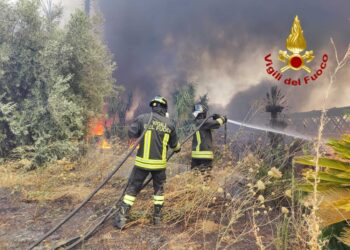 Vigili del fuoco al lavoro