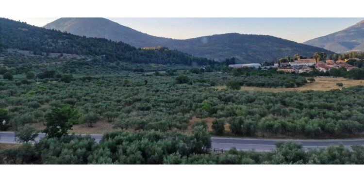 Elicottero e squadre da terra in azione per la bonifica
