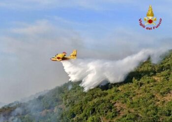 Ancora emergenza roghi dal litorale all'hinterland costiero