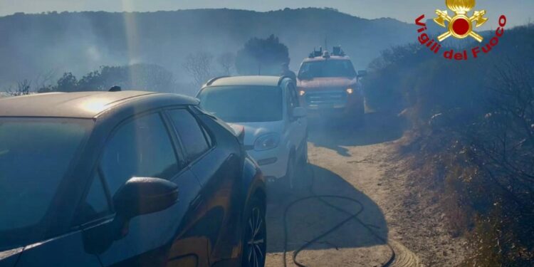 Primo bilancio del Corpo forestale della Sardegna