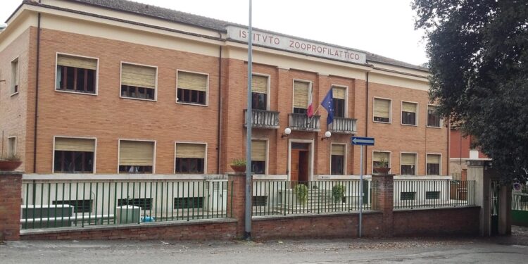 'Vaccinazioni decisive per fermare il virus'