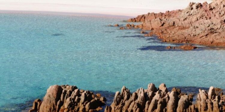 Grig denuncia l'episodio al Corpo forestale regionale