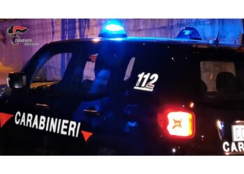 Colpo da 350.000 euro al narcotraffico di Gioiosa Ionica