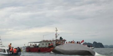 Difficili le operazioni di salvataggio. I dispersi sono decine
