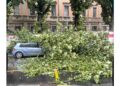 Per lo più alberi e cartelloni pubblicitari divelti dal vento