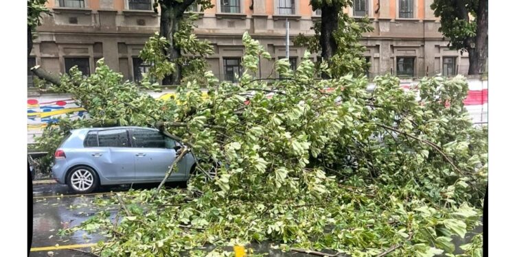 Per lo più alberi e cartelloni pubblicitari divelti dal vento