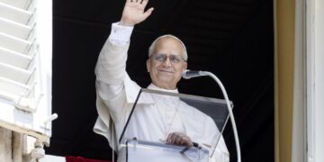 Gli è stato riferito a margine di un'udienza a Castel Gandolfo
