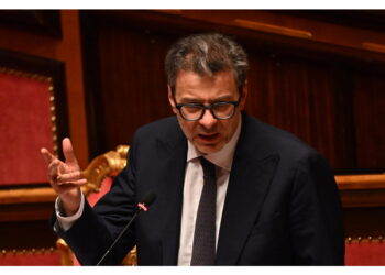 "Il governo ha fatto una figura barbina"